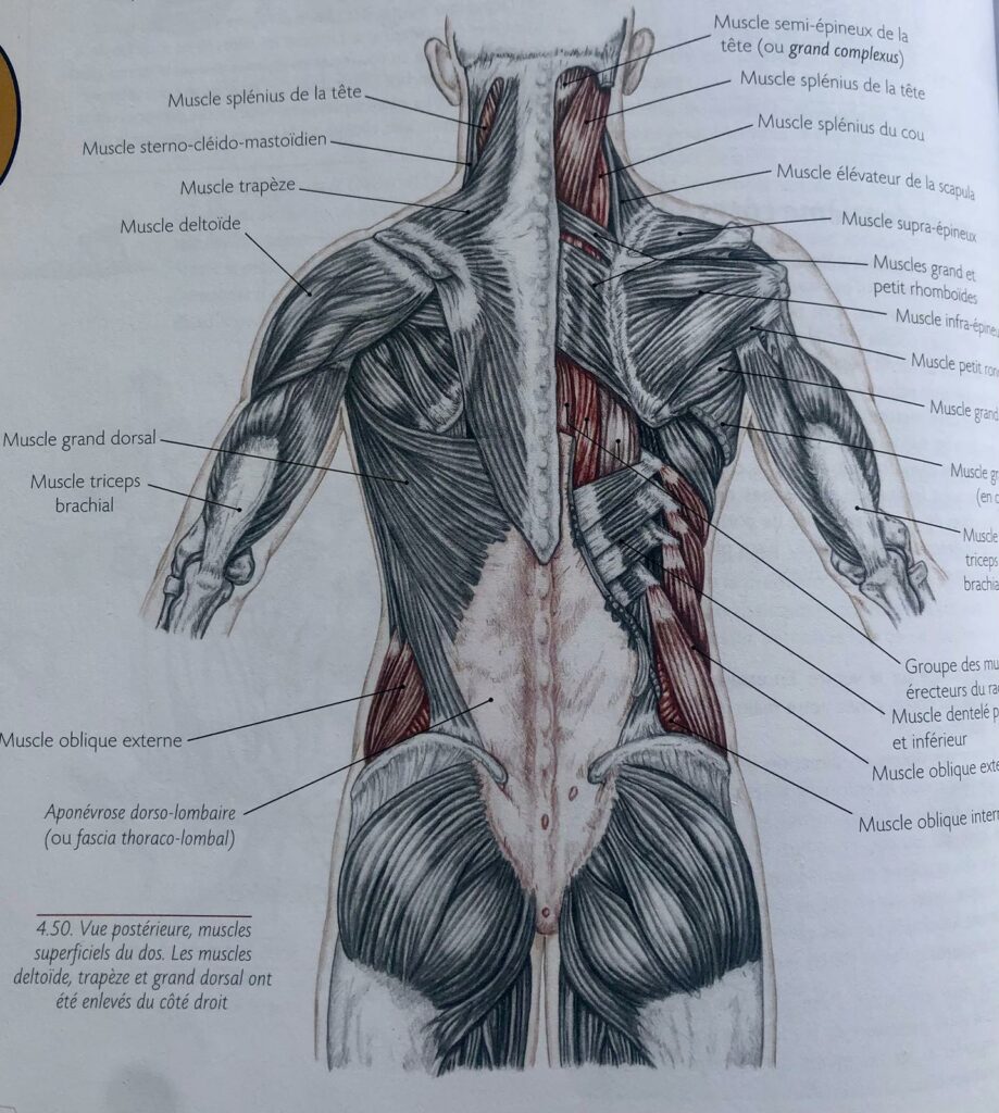 whatsapp image 2026 03 10 at 21.15.35