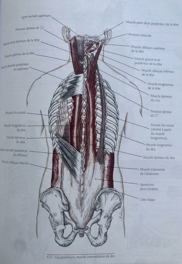 whatsapp image 2026 03 10 at 21.15.35(1)